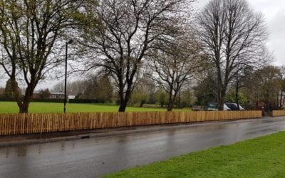 Picket Fencing in Downton